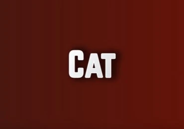 Cat Casino Casino бездепозитный бонус за регистрацию